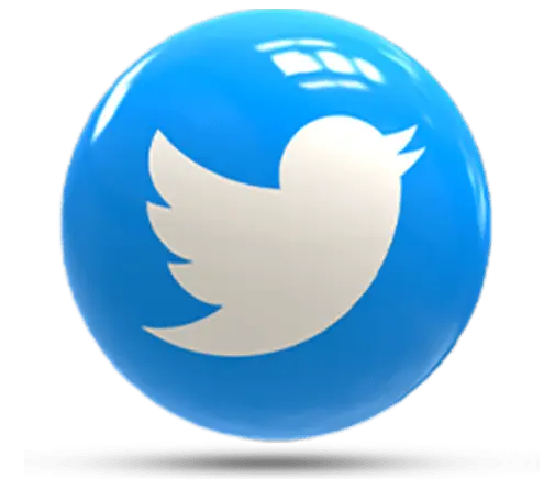 twitter social media management