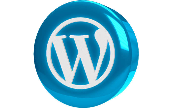 custom wordpress development services agency