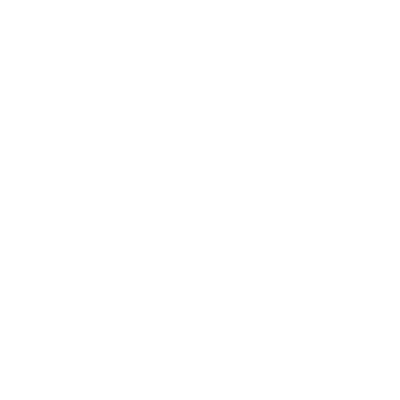 wordpress website development agency